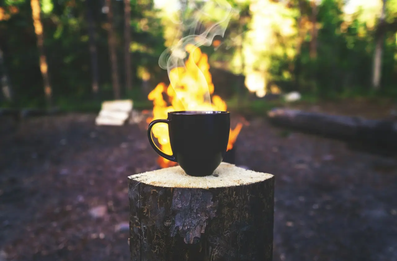A mug on a tree stump in front of a campfire